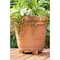Pot Toes The Decksaver 1 in. H X 2 in. W X 3 in. D Plastic Planter Feet Terracotta, PK6 PT-06TCCS - alternate 2